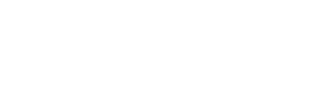 risco product logo